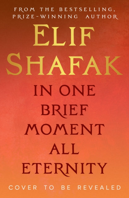 Shafak, Elif - In One Brief Moment All Eternity
