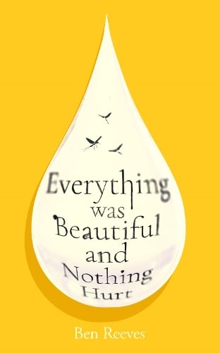 Reeves, Ben - Everything was Beautiful and Nothing Hurt