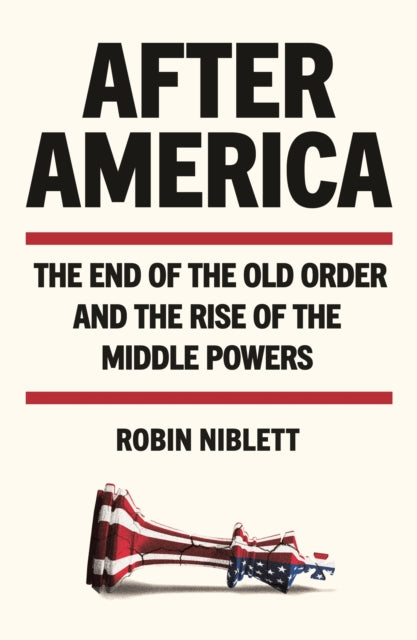 Niblett, Robin - After America