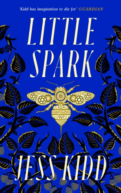 Kidd, Jess - Little Spark