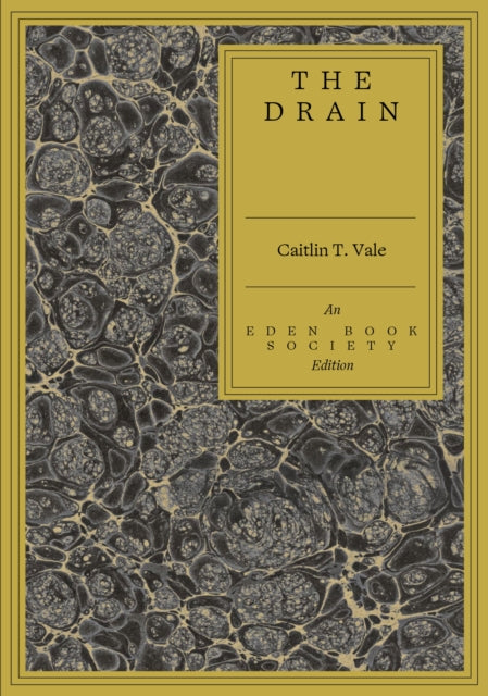 Vale, Caitlin T. - The Drain