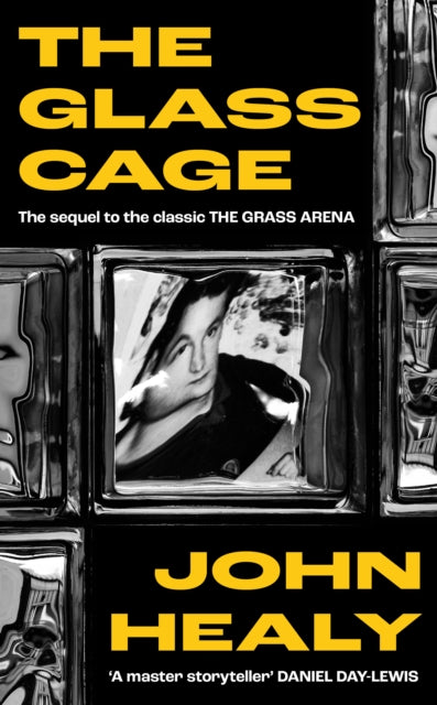 Healy, John - The Glass Cage
