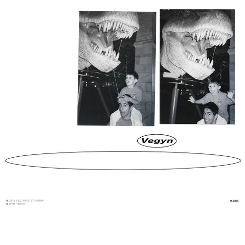 Vegyn - Only Diamonds Cut Diamonds (5th Anniversary Repress)