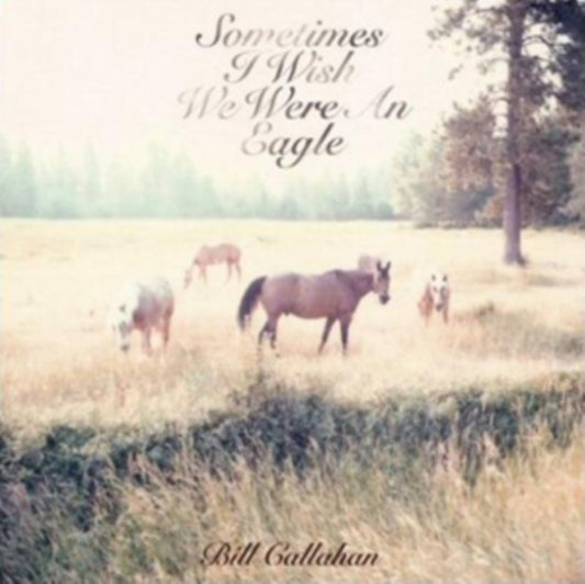 Callahan, Bill - Sometimes I Wish We Were An Eagle