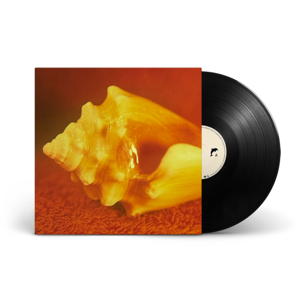 Black LP