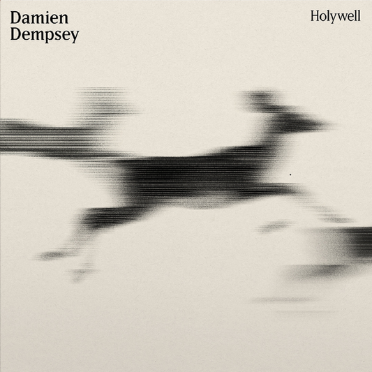 Dempsey, Damien - Holywell