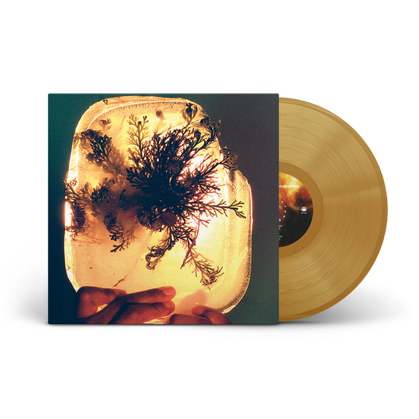 "Rose of Jericho Glow" LP