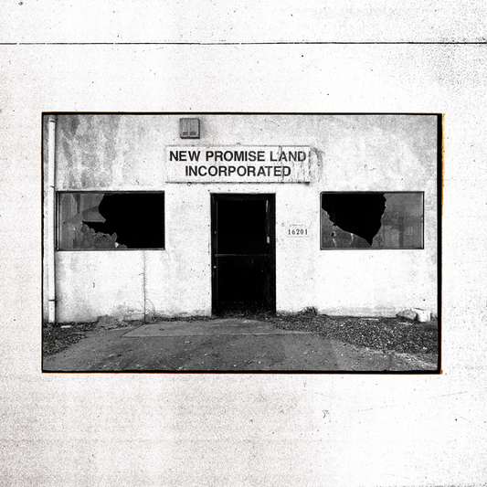 Temperance Movement, The - New Promise Land Incorporated