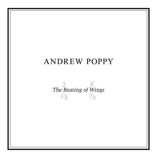 Poppy, Andrew - The Beating of Wings (40th Anniversary Edition)