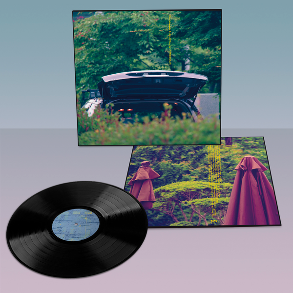 Limited LP