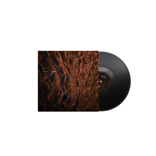 Black 12" EP