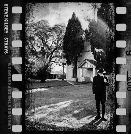 Kilbey, Steve - Strays (Life Inside the Orphanarium)