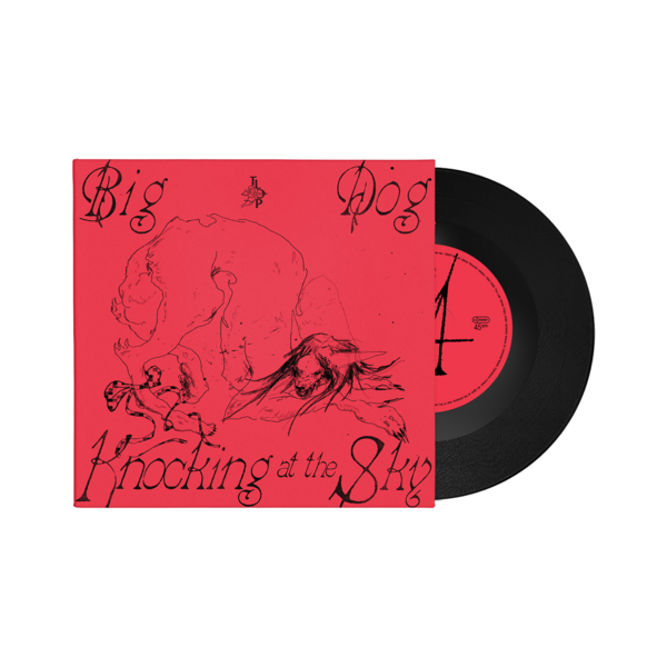 Black 7"