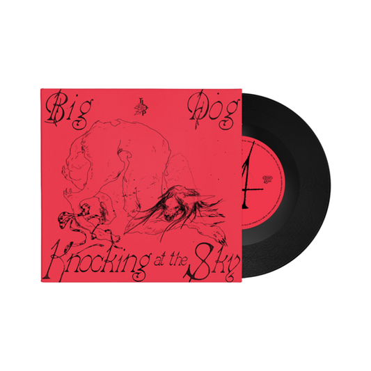 Black 7"