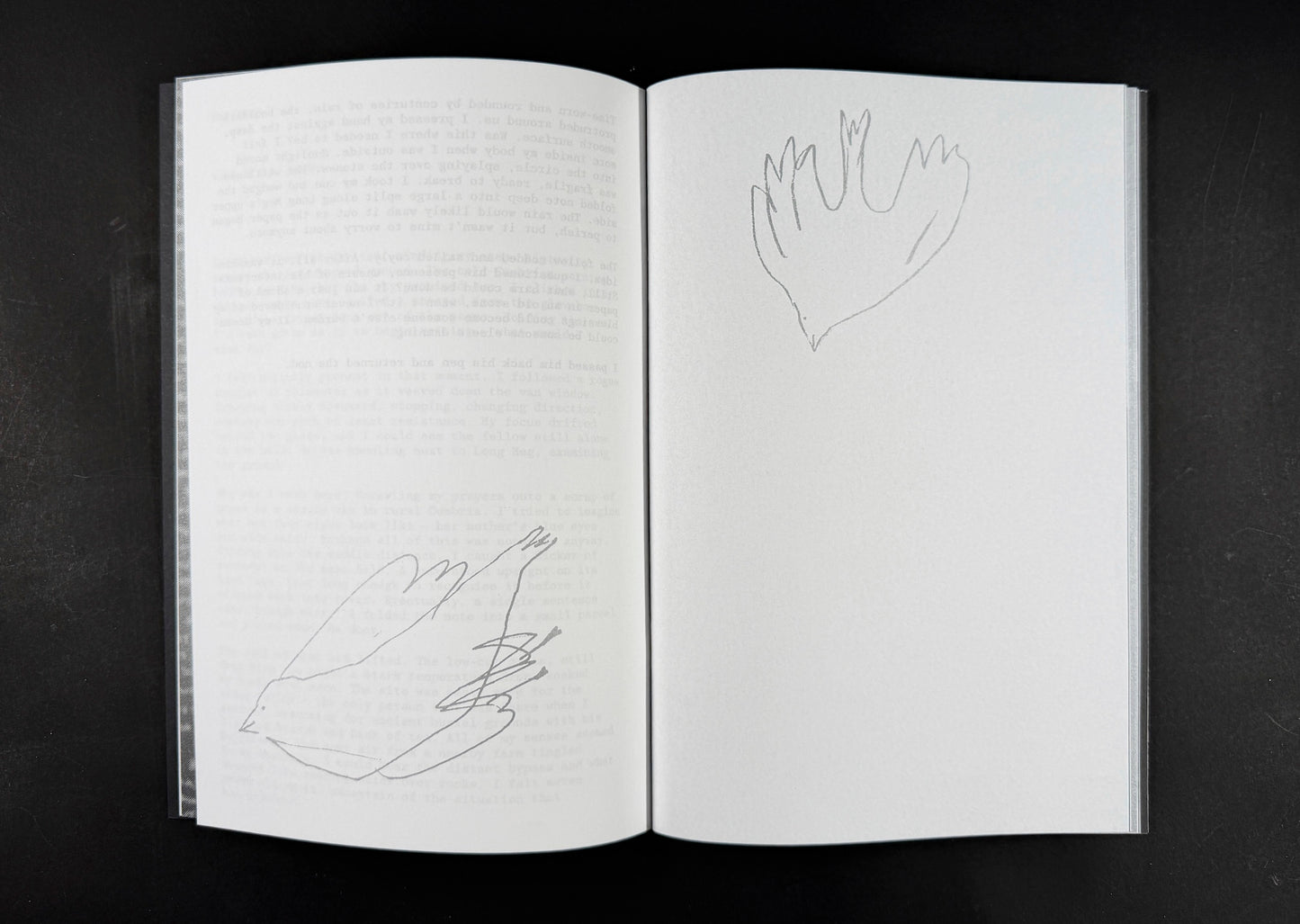 White Flowers - Dreams From Somebody Else Art Book