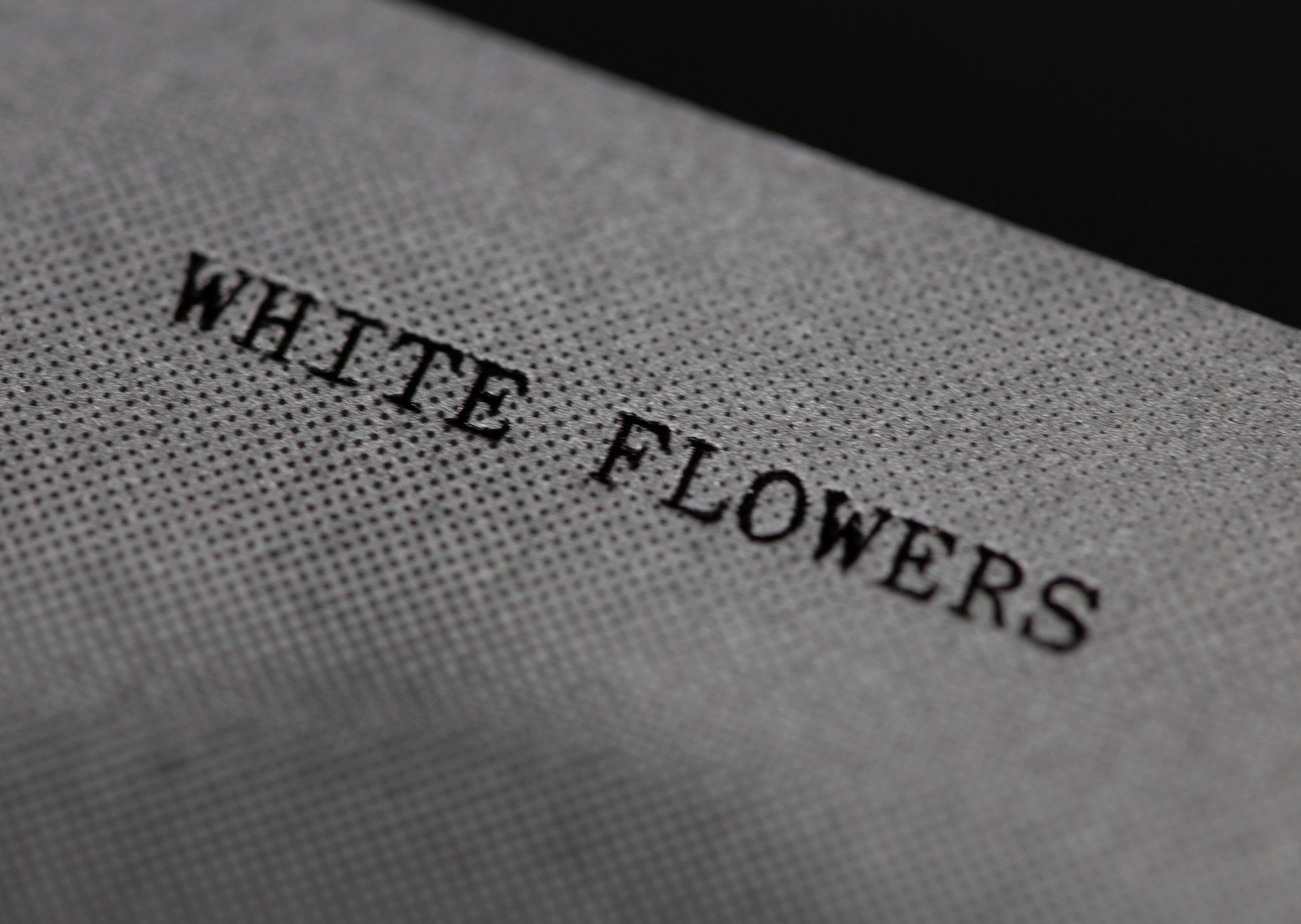 White Flowers - Dreams From Somebody Else Art Book