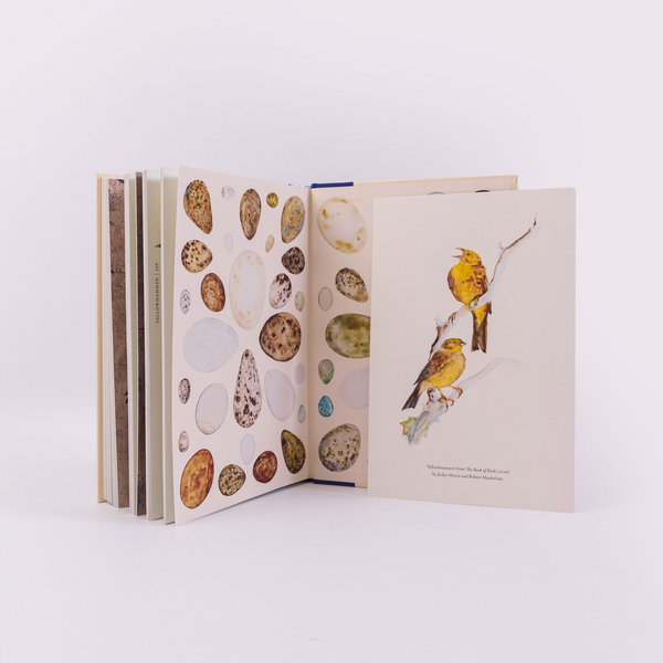 Morris, Jackie & Robert Macfarlane - The Book of Birds: A Field Guide to Wonder and Loss