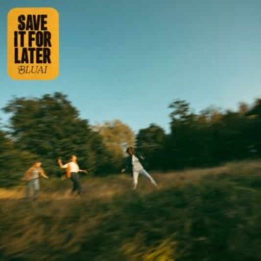 Bluai - Save It For Later