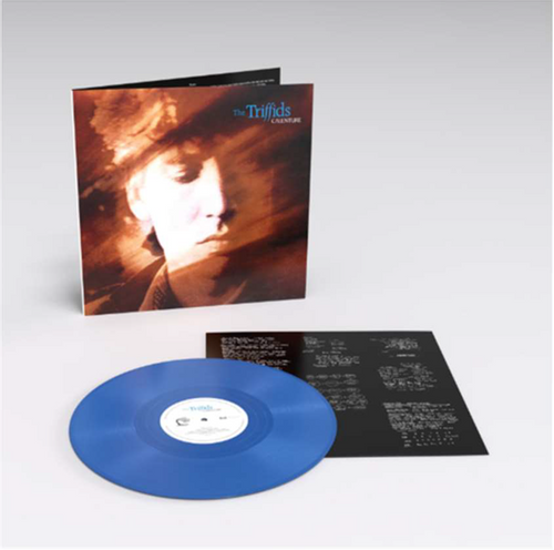 Triffids, The - Calenture (2024 Reissue)