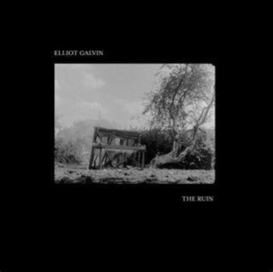 Galvin, Elliot - The Ruin