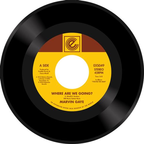 Gaye, Marvin - Where Are We Going? / Woman Of The World (First Time On 7")