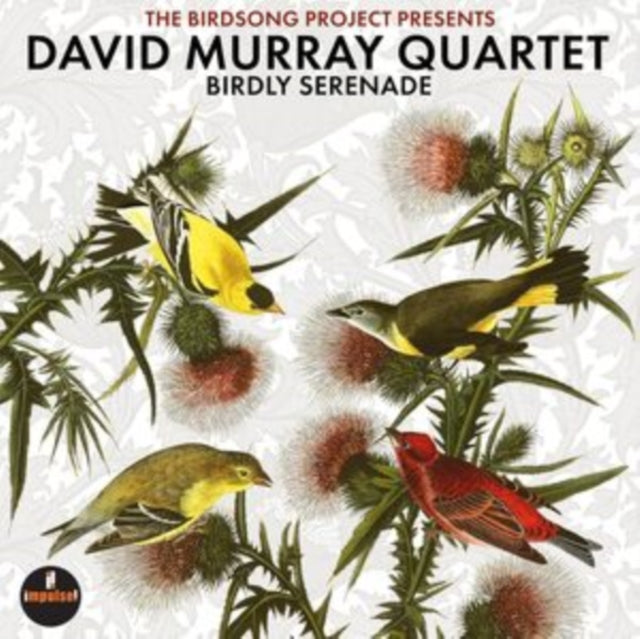 Murray, David Quartet - Birdly Serenade