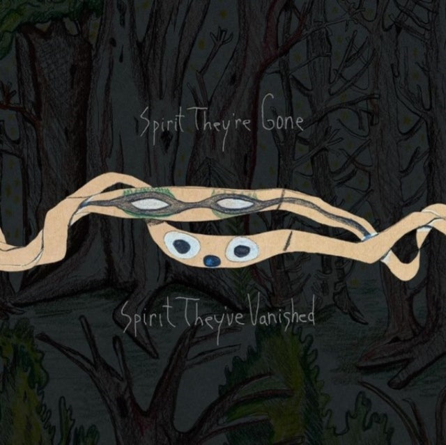 Animal Collective - Spirit They're Gone, Spirit They've Vanished (Remastered 2023)