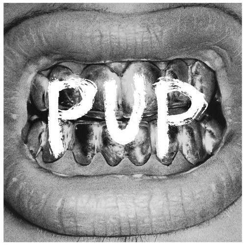 Pup - Pup