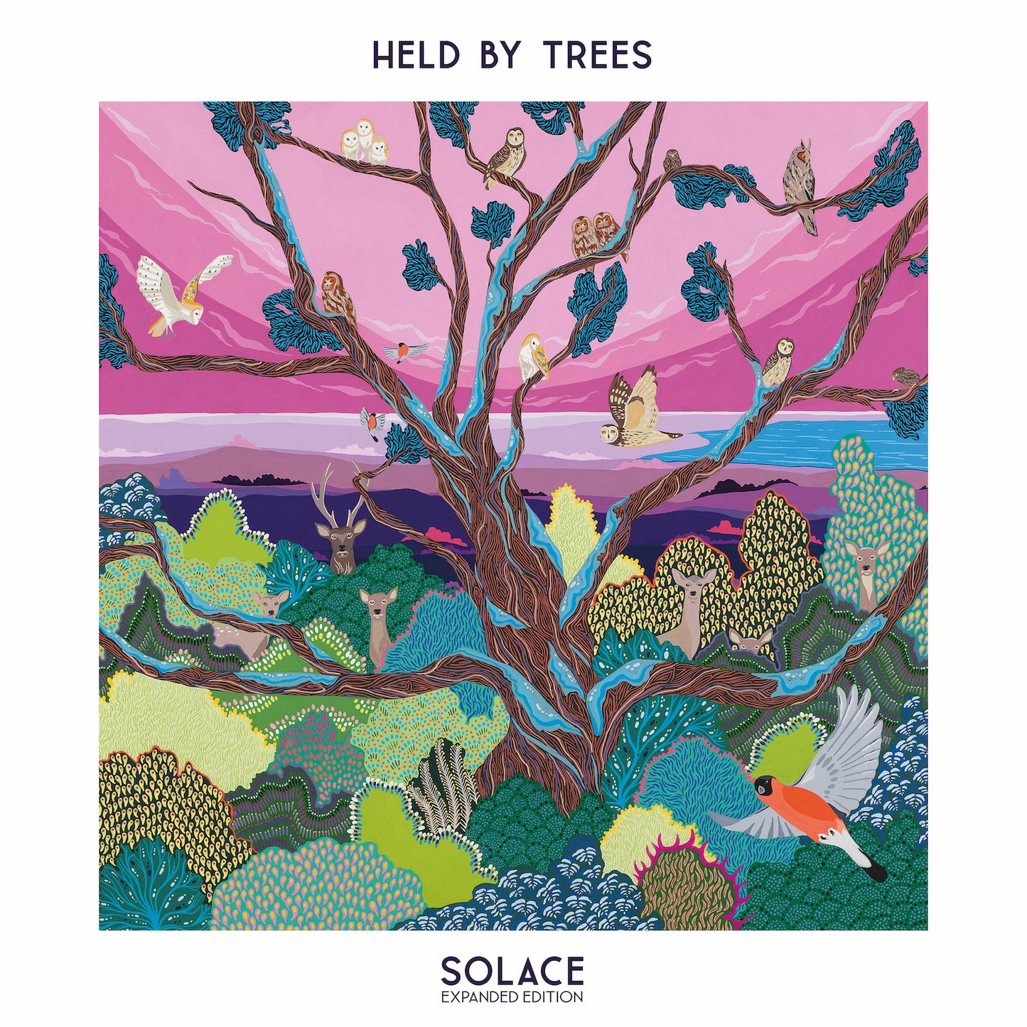Held By Trees - Solace (Expanded Version) (Rsd 24)