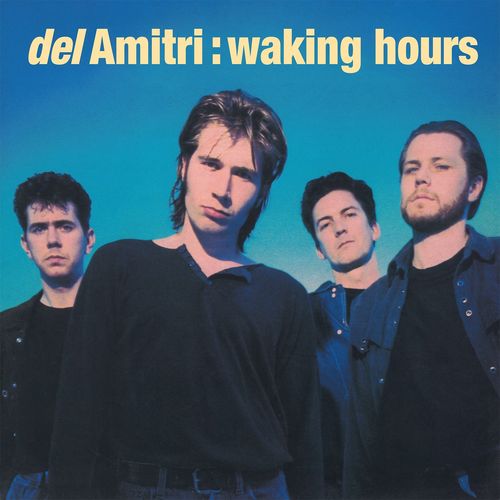 Del Amitri - Waking Hours (2024 Reissue)