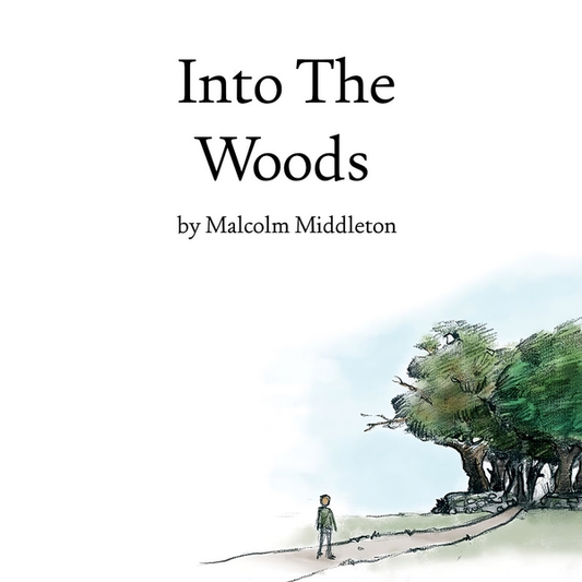 Middleton, Malcolm (Arab Strap) - Into The Woods (20th Anniversary Edition)