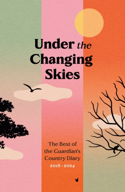 Under The Changing Skies - Various Artists