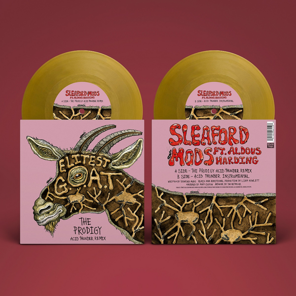 Sleaford Mods ft. Aldous Harding - Elitest G.O.A.T. (The Prodigy Acid Thunder Mix)