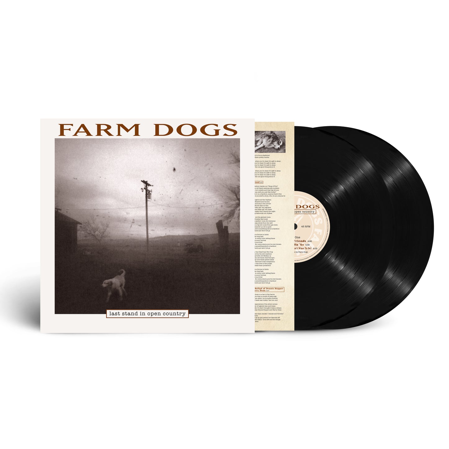 Farm Dogs, The - Last Stand In Open Country (Rsd 24)