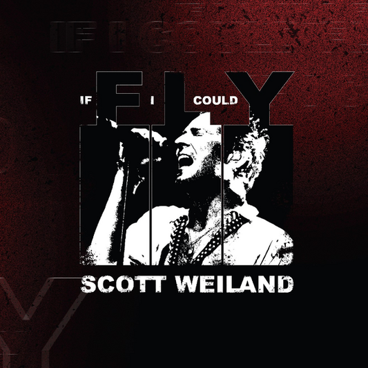 Weiland, Scott (Stone Temple Pilots, Velvet Revolver) - If I Could Fly / Barbarella (Live)