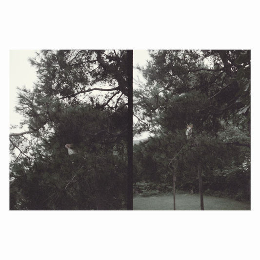 Lee, Okkyung - just like any other day (어느날) : background music for your mundane activities