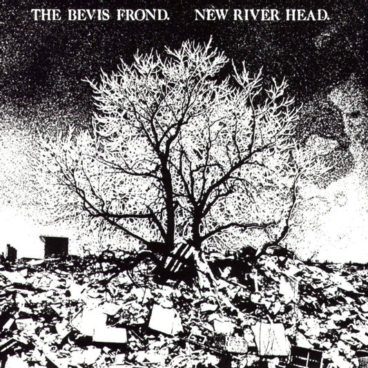 Bevis Frond, The - New River Head (2025 Reissue)