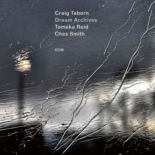 Taborn, Craig, Tomeka Reid, Ches Smith - Dream Archives