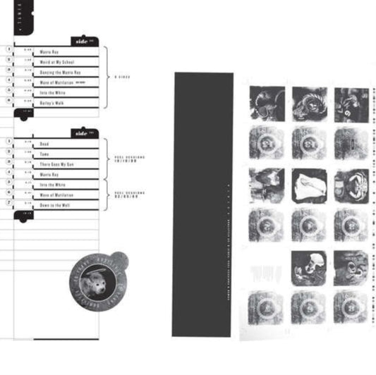 Pixies - Doolittle 25: B-Sides, Peel Sessions & Demos