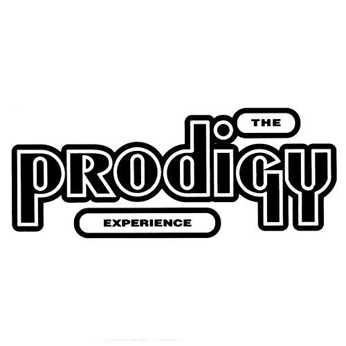 Prodigy, The - Experience