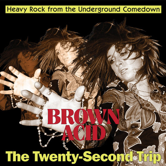 Brown Acid: The Twenty-Second Trip - Various Artists
