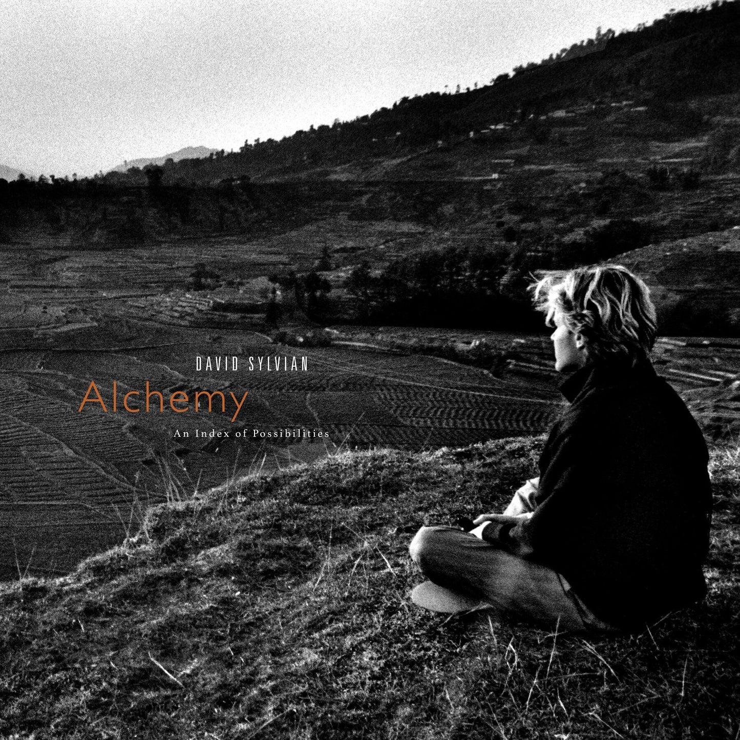 Sylvian, David - Alchemy: An Index Of Possibilities (2025 Reissue)