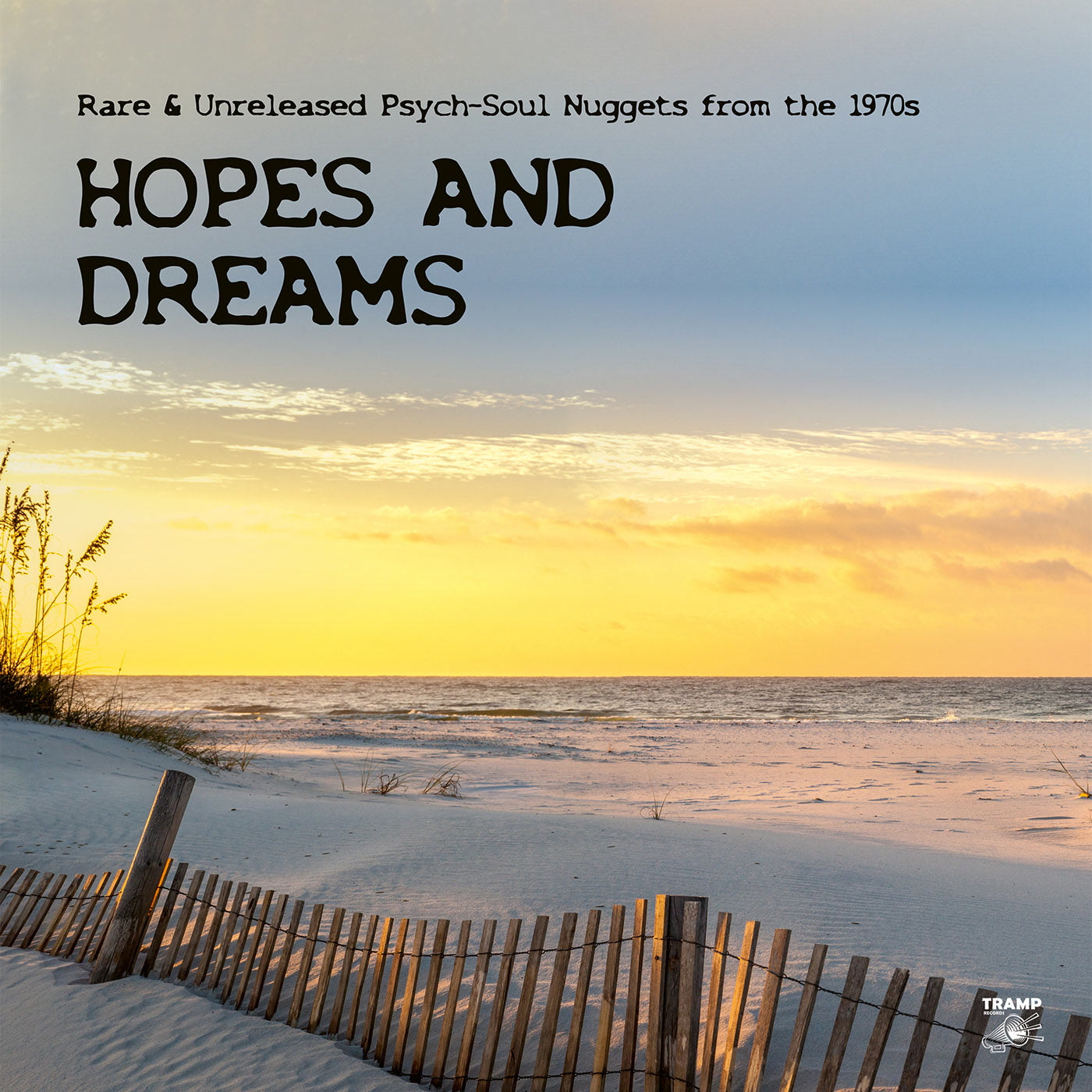 Hopes And Dreams: Rare & Unreleased Psych-Soul Nuggets from the 1970s - Various Artists