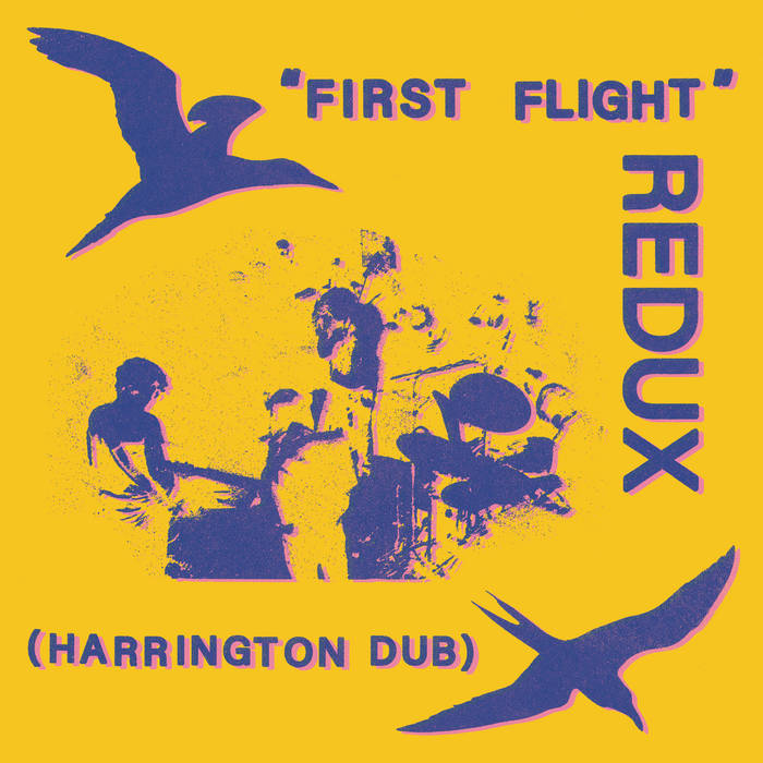 Forsyth, Chris  / Dave Harrington / Ryan Jewell / Spencer Zahn - First Flight Redux (Harrington Dub)