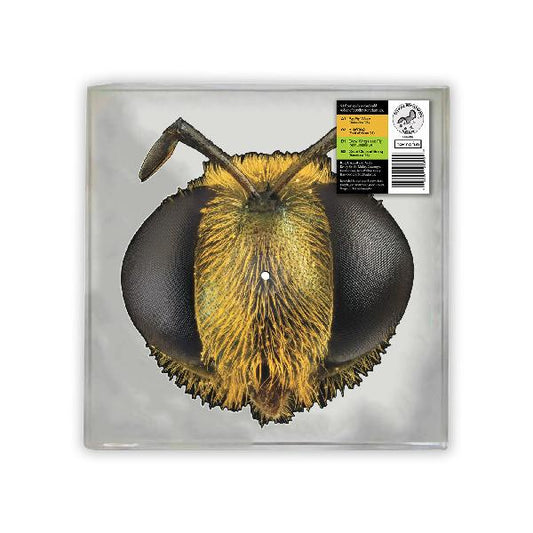 King Gizzard & The Lizard Wizard - Big Fig Wasp (RSD 2026)