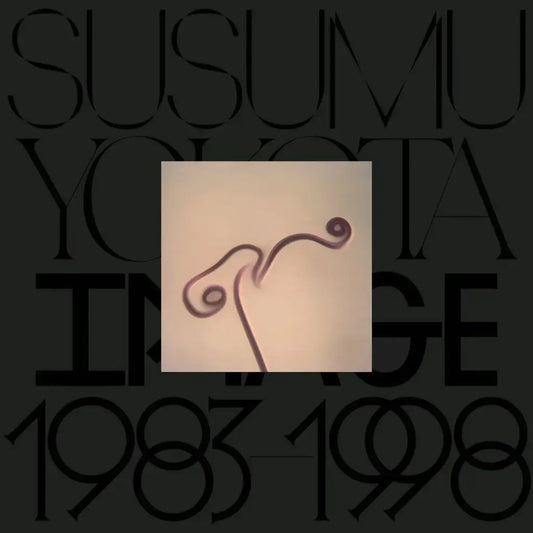 Yokota, Susumu - Image (1983-1998)