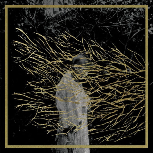 Forest Swords - Engravings (2025 Reissue)