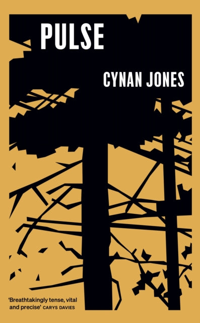 Jones, Cynan - Pulse