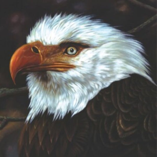 Mogwai - The Hawk Is Howling