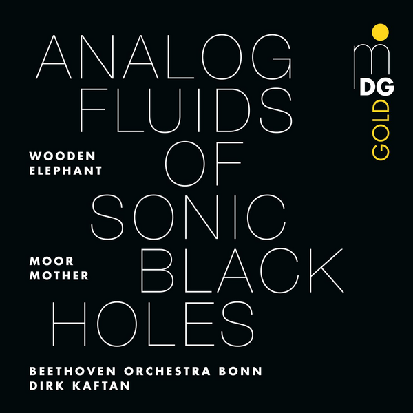 Moor Mother - Analog Fluids of Sonic Black Holes
